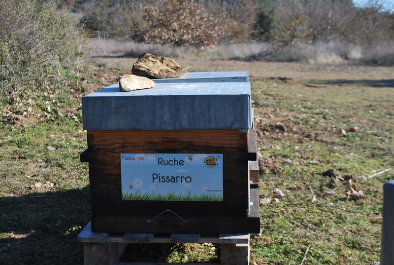 La ruche Pissarro
