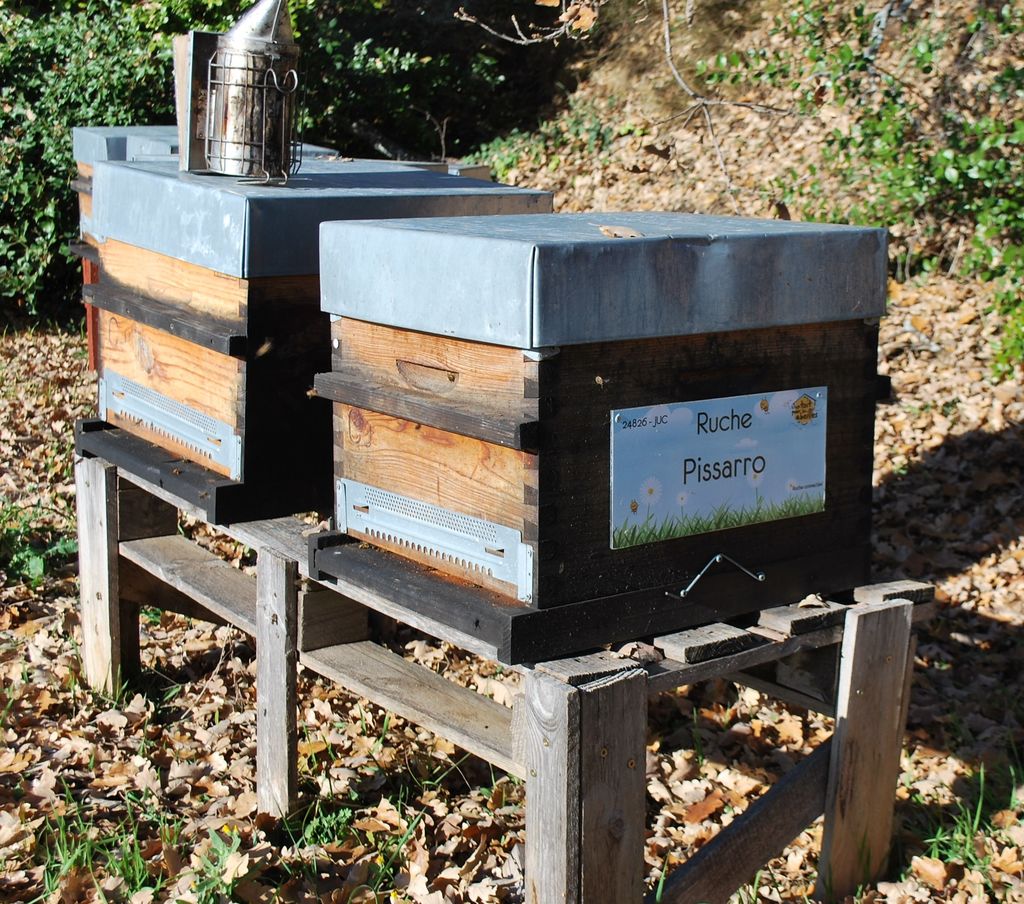 La ruche Pissarro