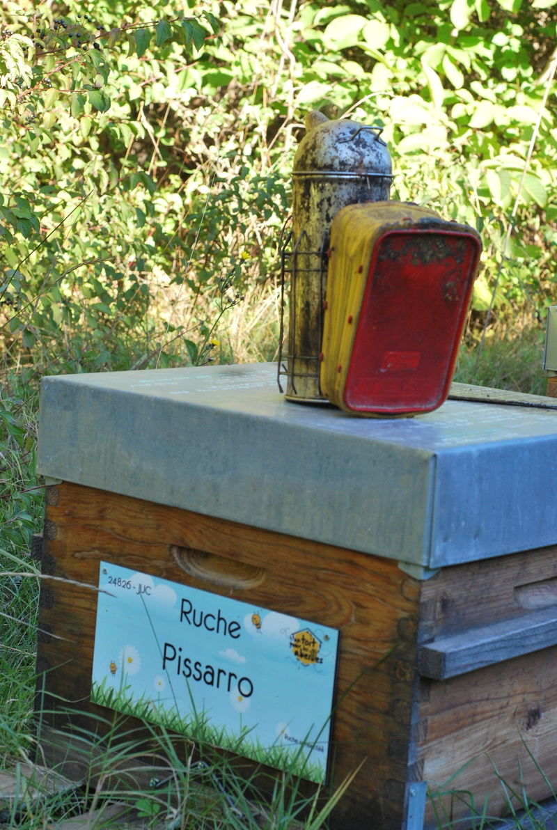 La ruche Pissarro