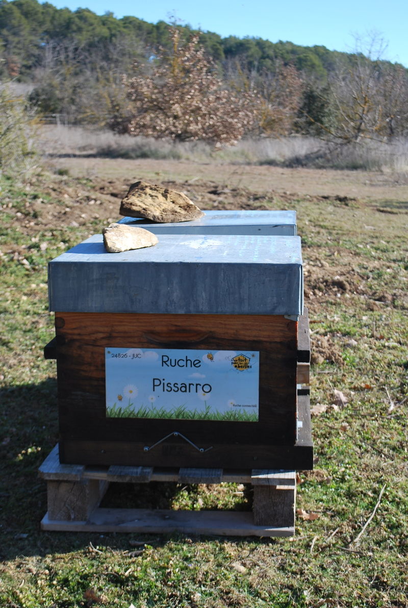 La ruche Pissarro