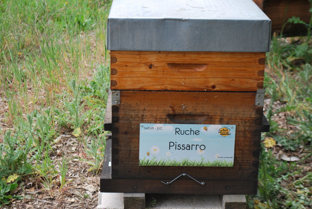 La ruche