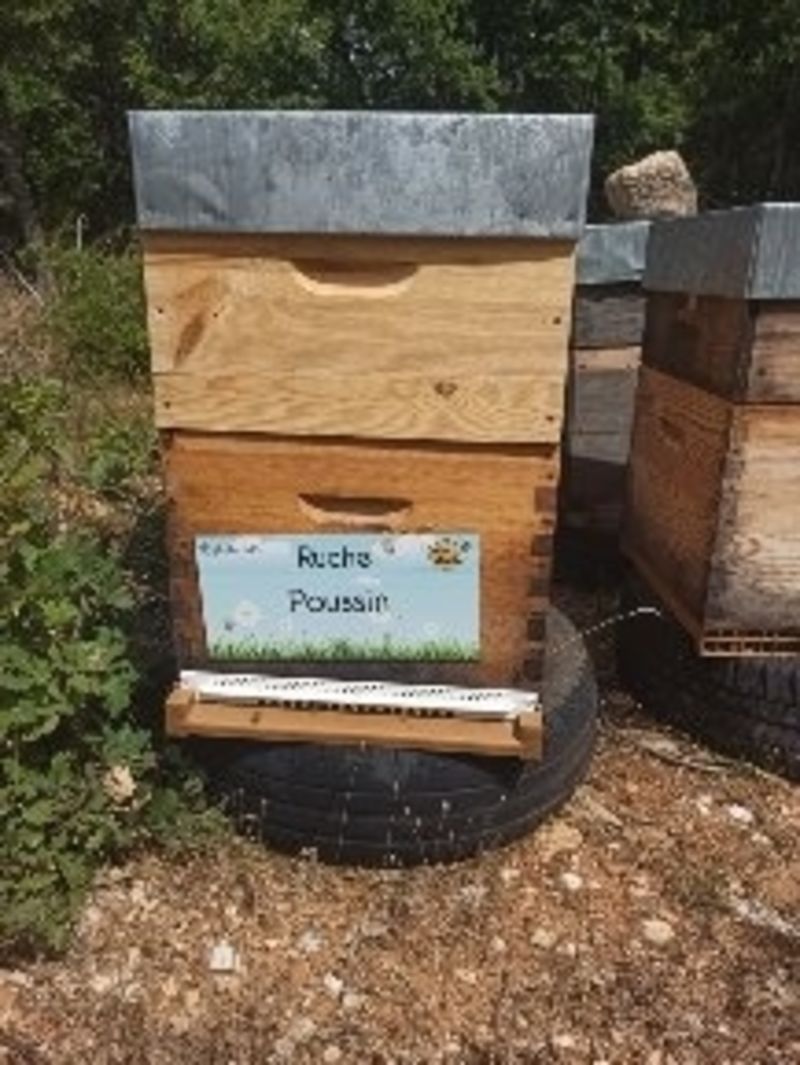 La ruche Poussin