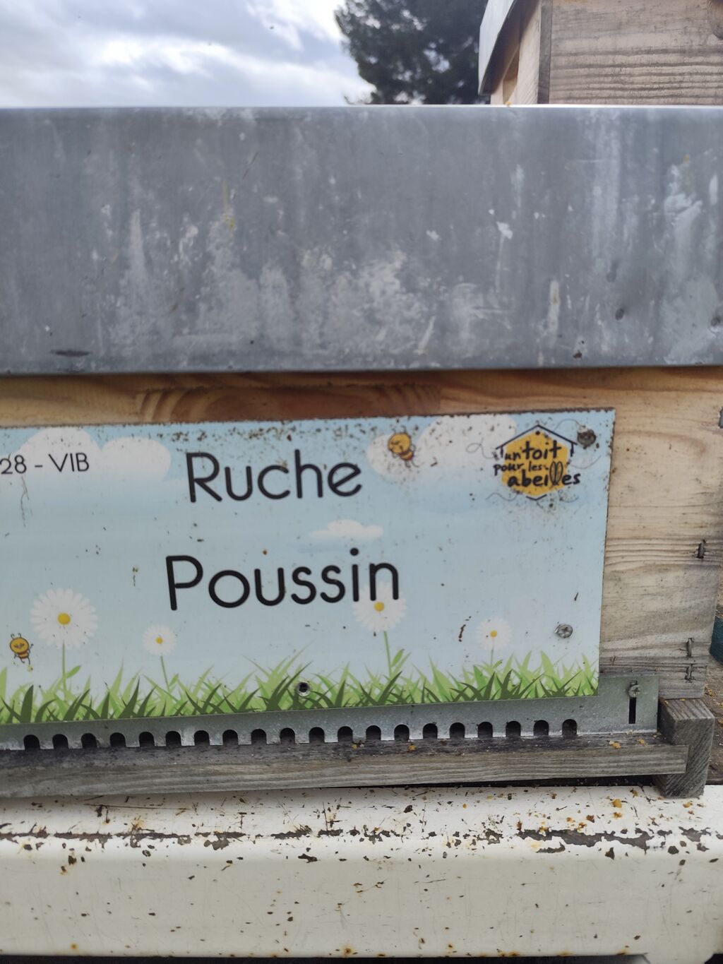 La ruche 
