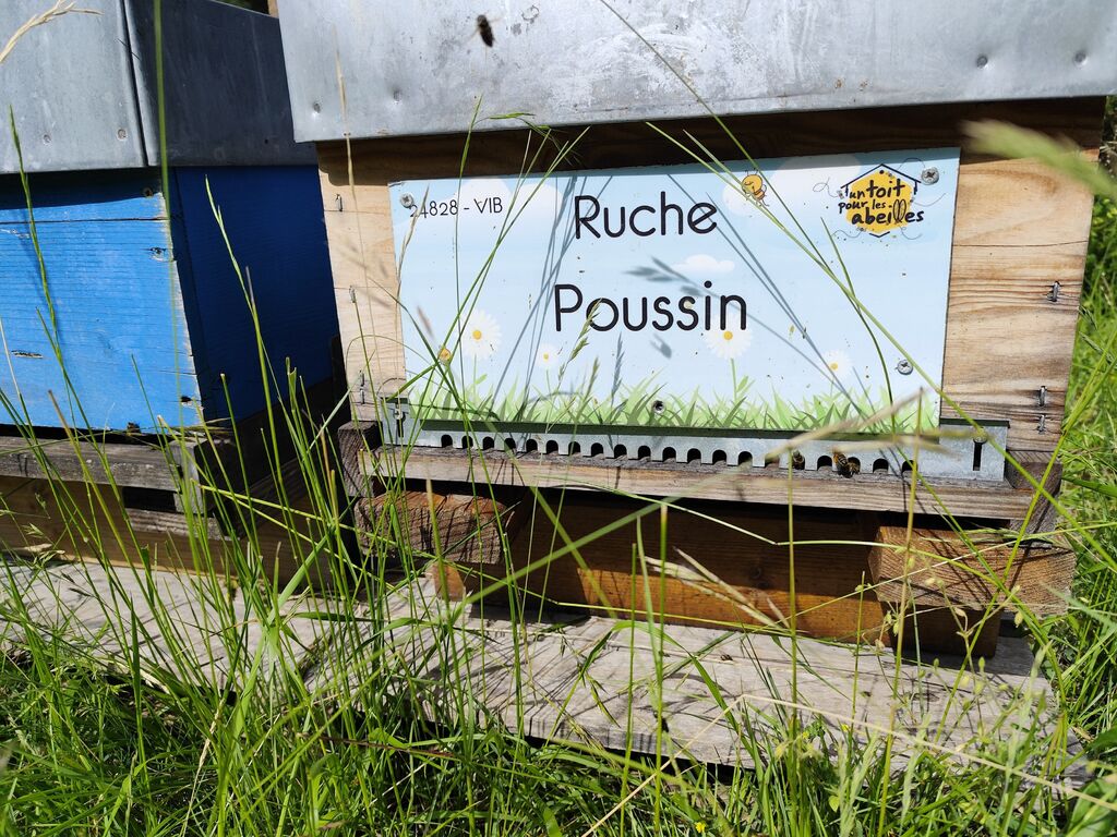 La ruche Poussin