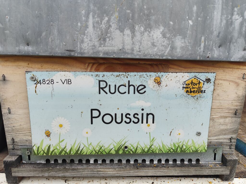 La ruche Poussin