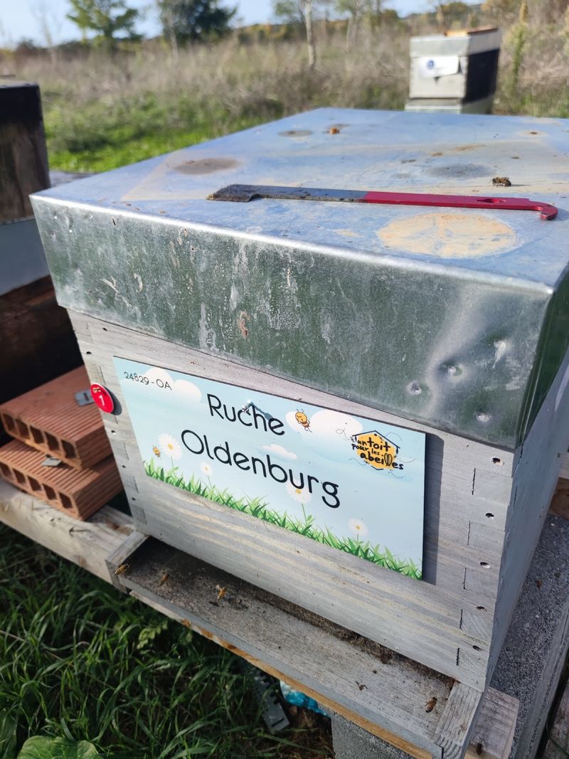 La ruche Oldenburg