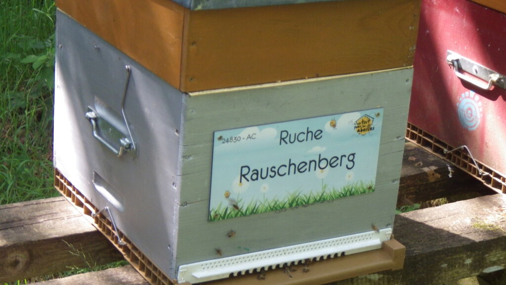 La ruche Rauschenberg