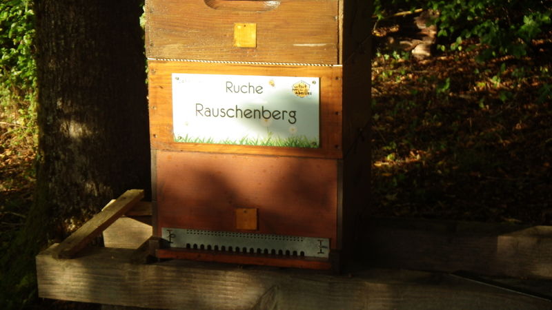 La ruche