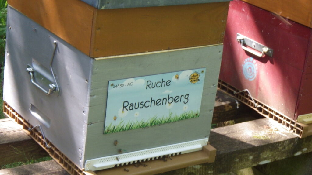 La ruche Rauschenberg