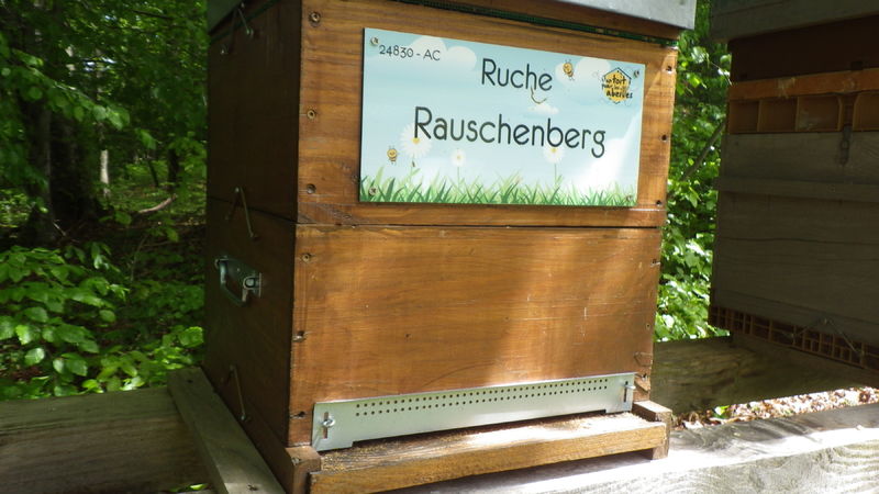 La ruche Rauschenberg