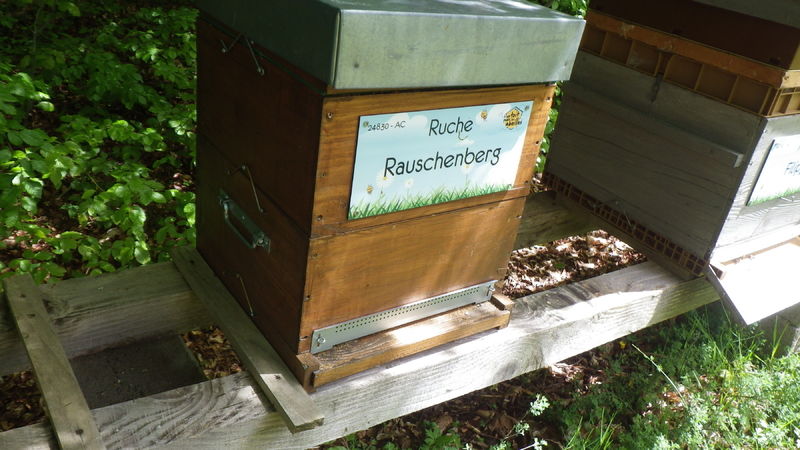 La ruche Rauschenberg