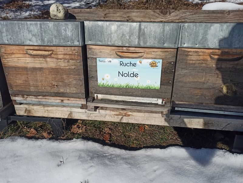 La ruche Nolde