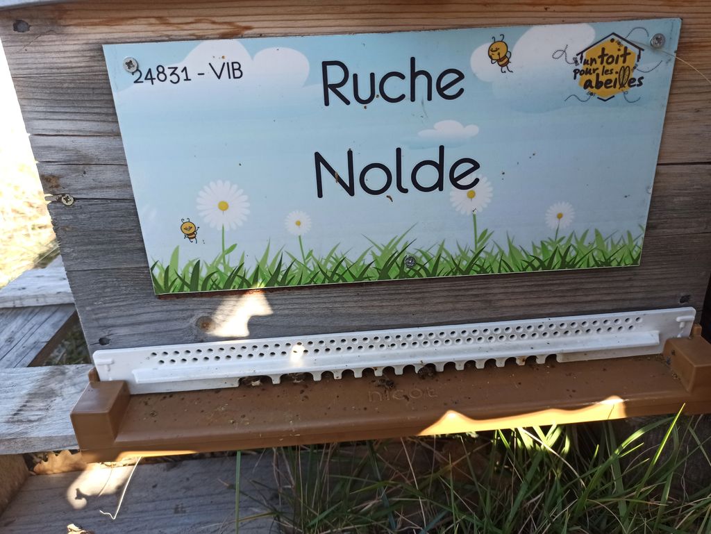 La ruche Nolde