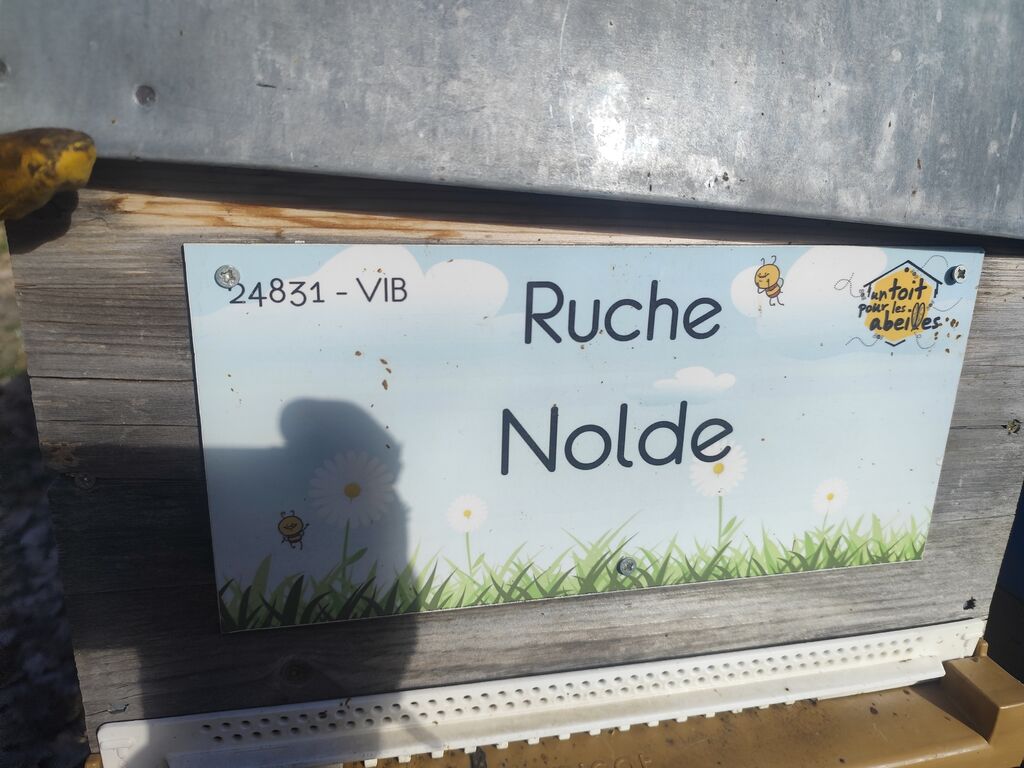 La ruche Nolde