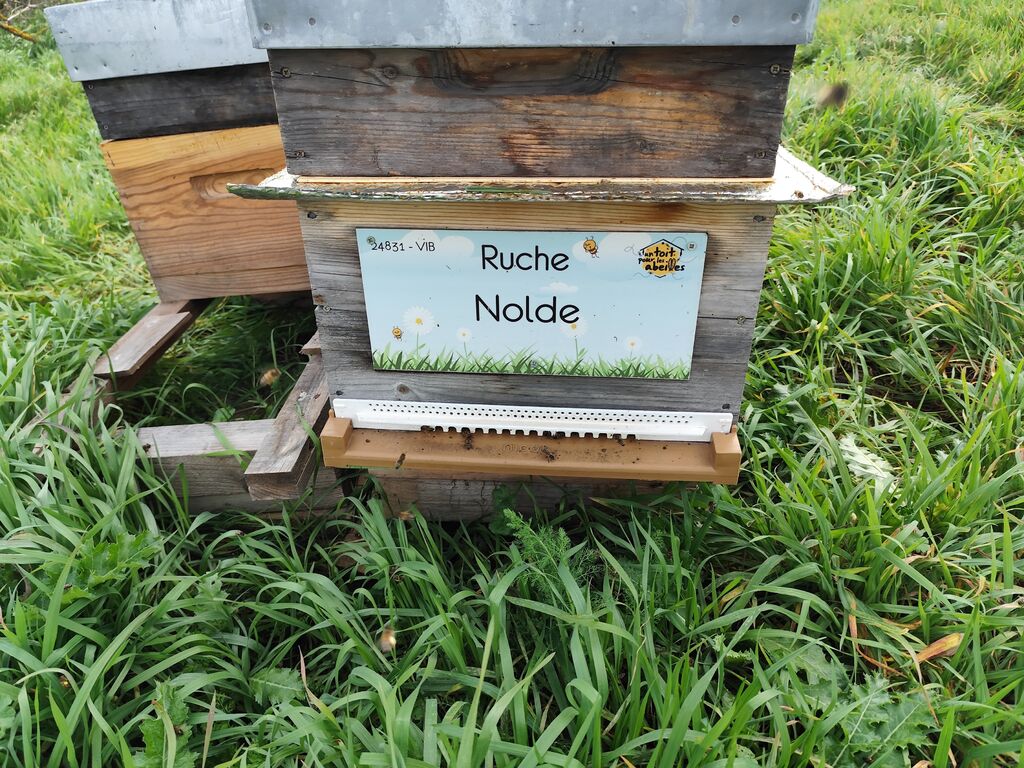 La ruche Nolde