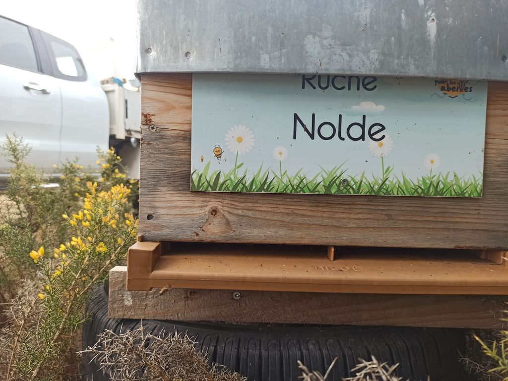 La ruche Nolde