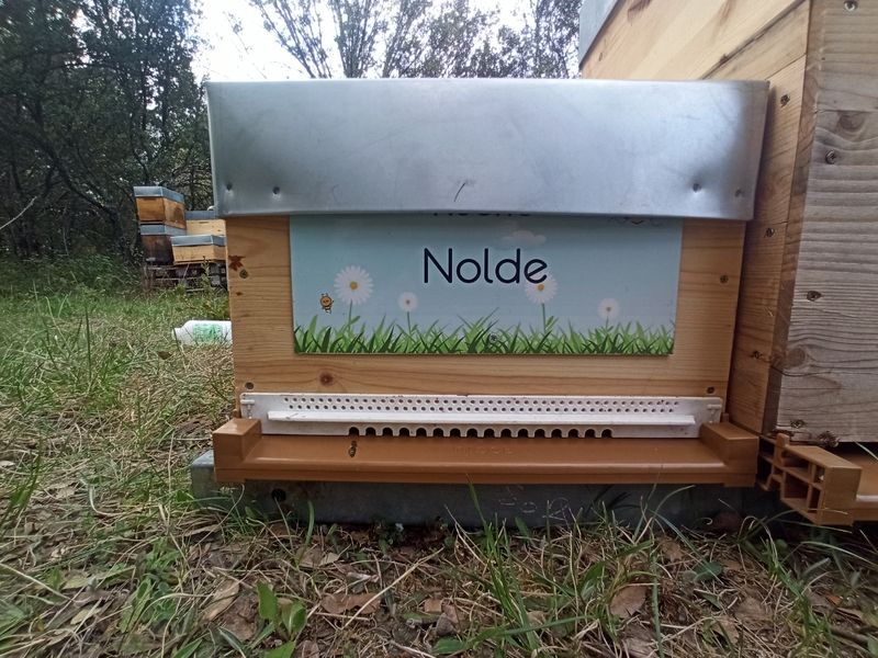 La ruche Nolde