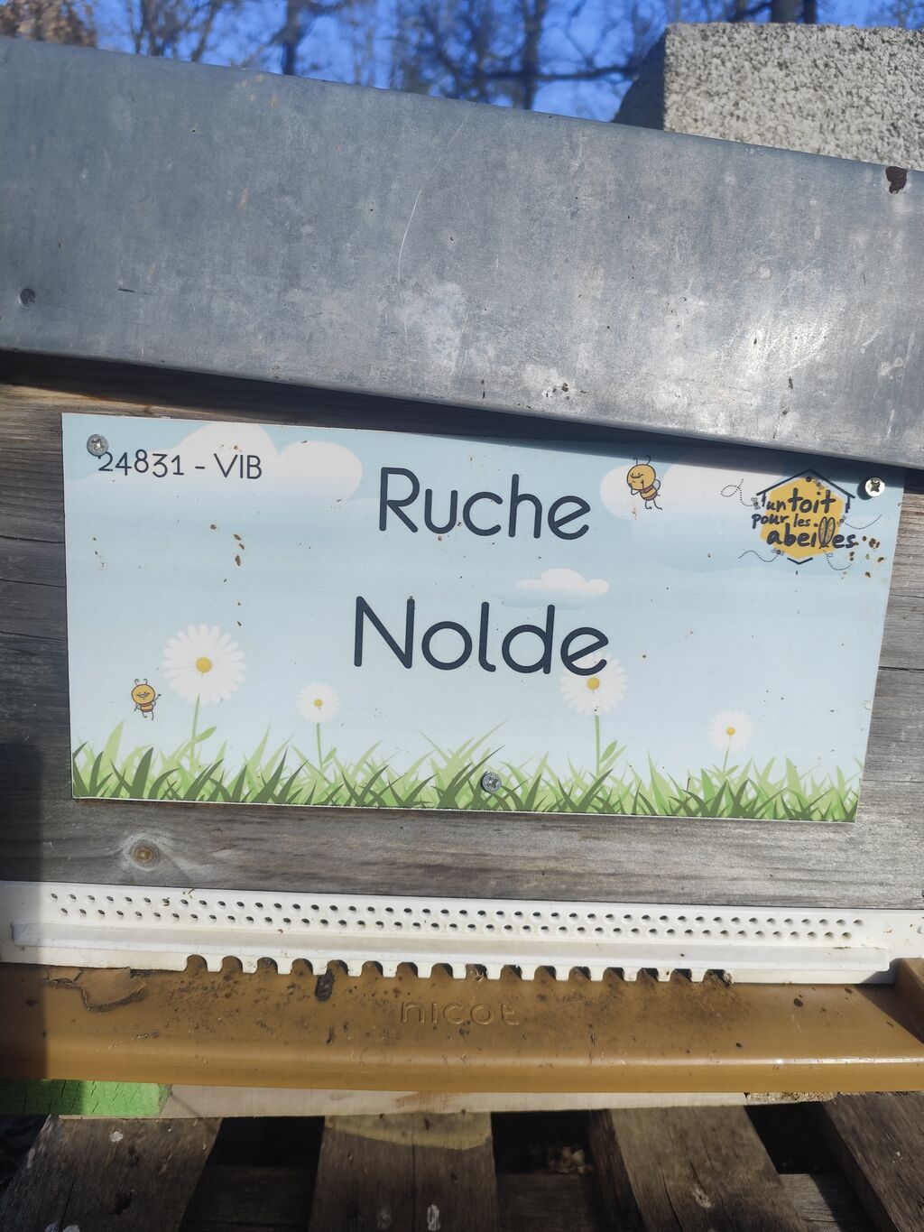 La ruche 