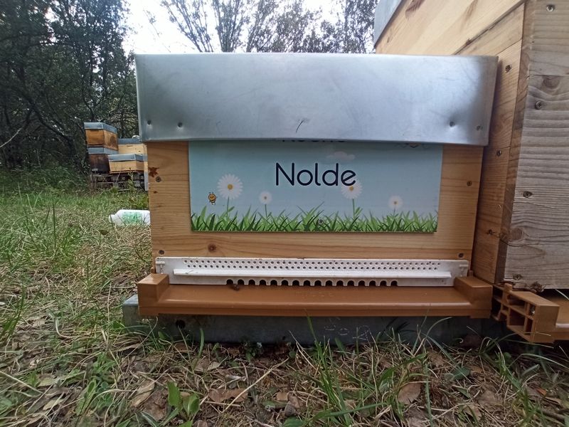 La ruche Nolde