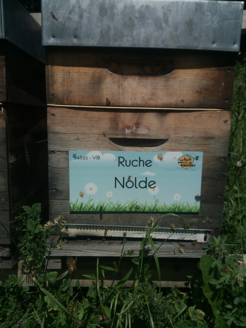 La ruche