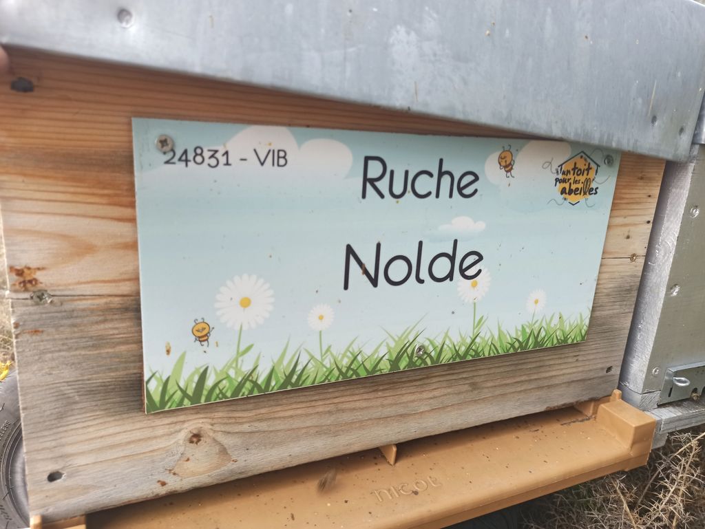 La ruche Nolde
