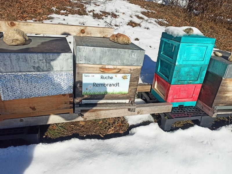 La ruche Rembrandt