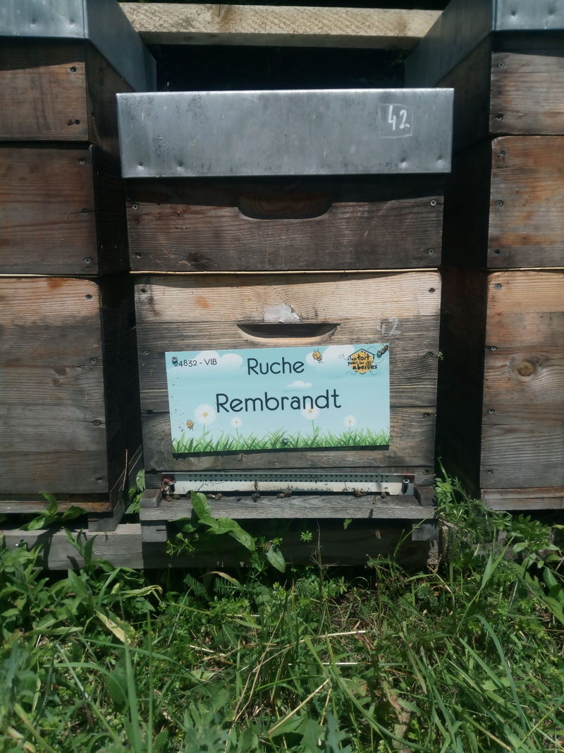 La ruche