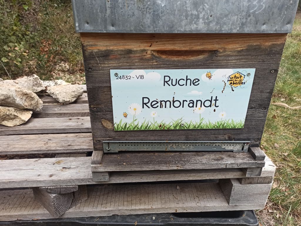 La ruche Rembrandt