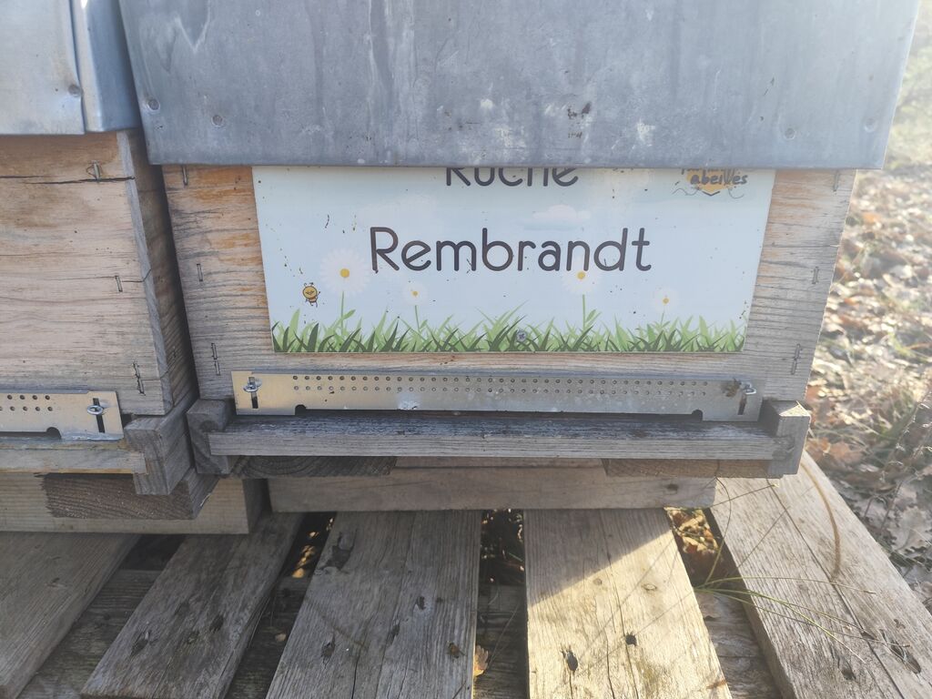La ruche Rembrandt