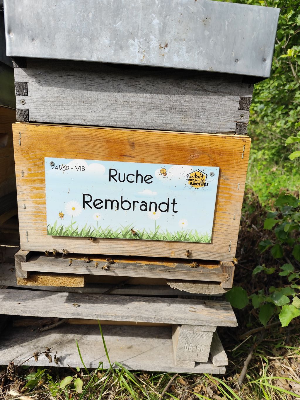 La ruche Rembrandt