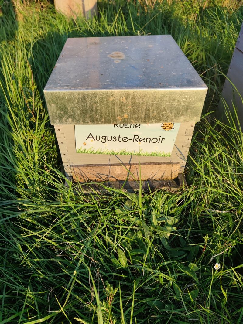 La ruche Auguste-Renoir