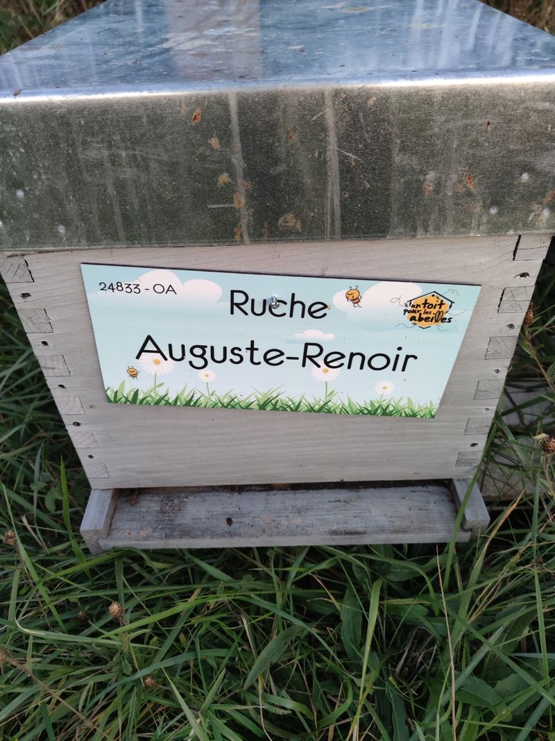 La ruche Auguste-Renoir