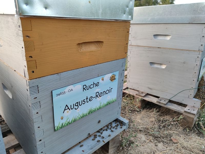 La ruche Auguste-Renoir