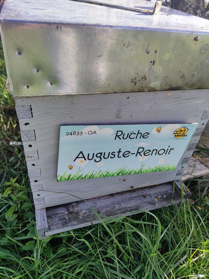 La ruche Auguste-Renoir