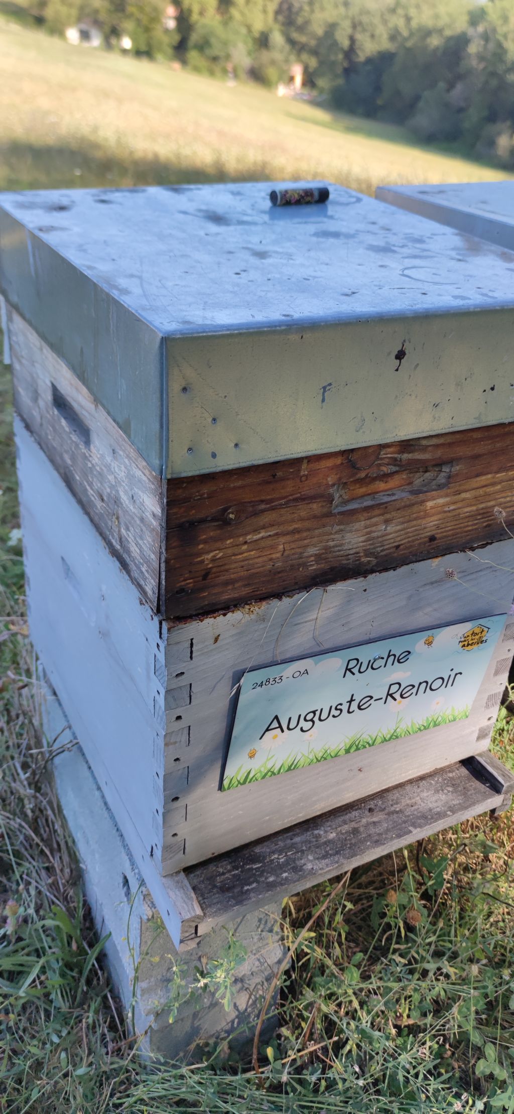 La ruche Auguste-Renoir