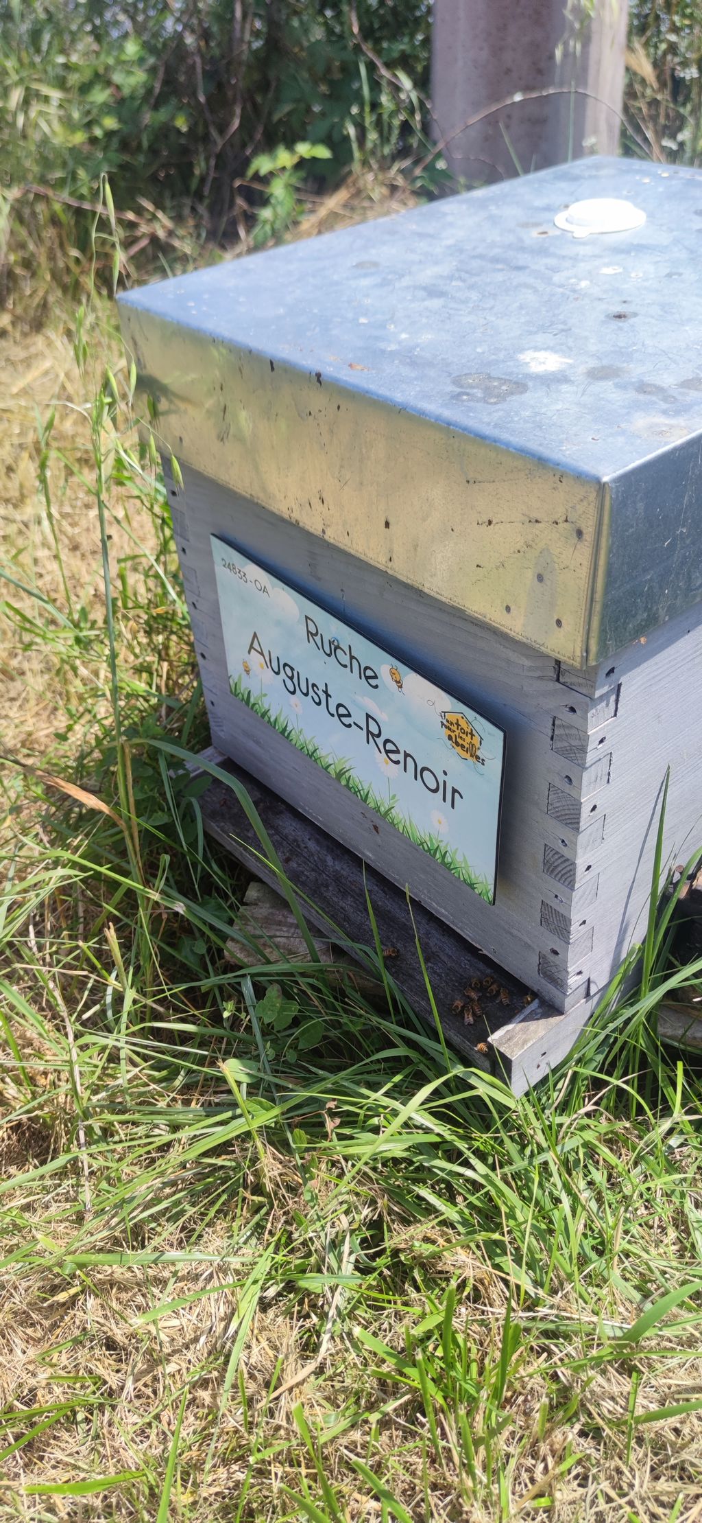 La ruche Auguste-Renoir