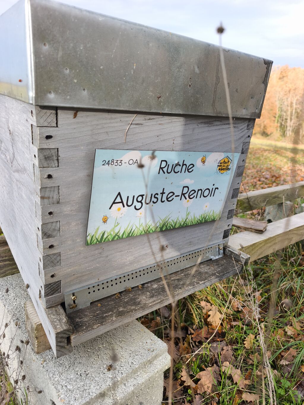 La ruche Auguste-Renoir