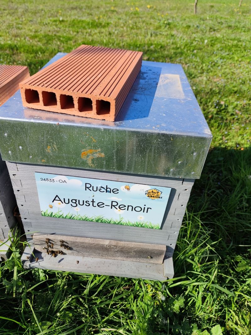 La ruche Auguste-Renoir