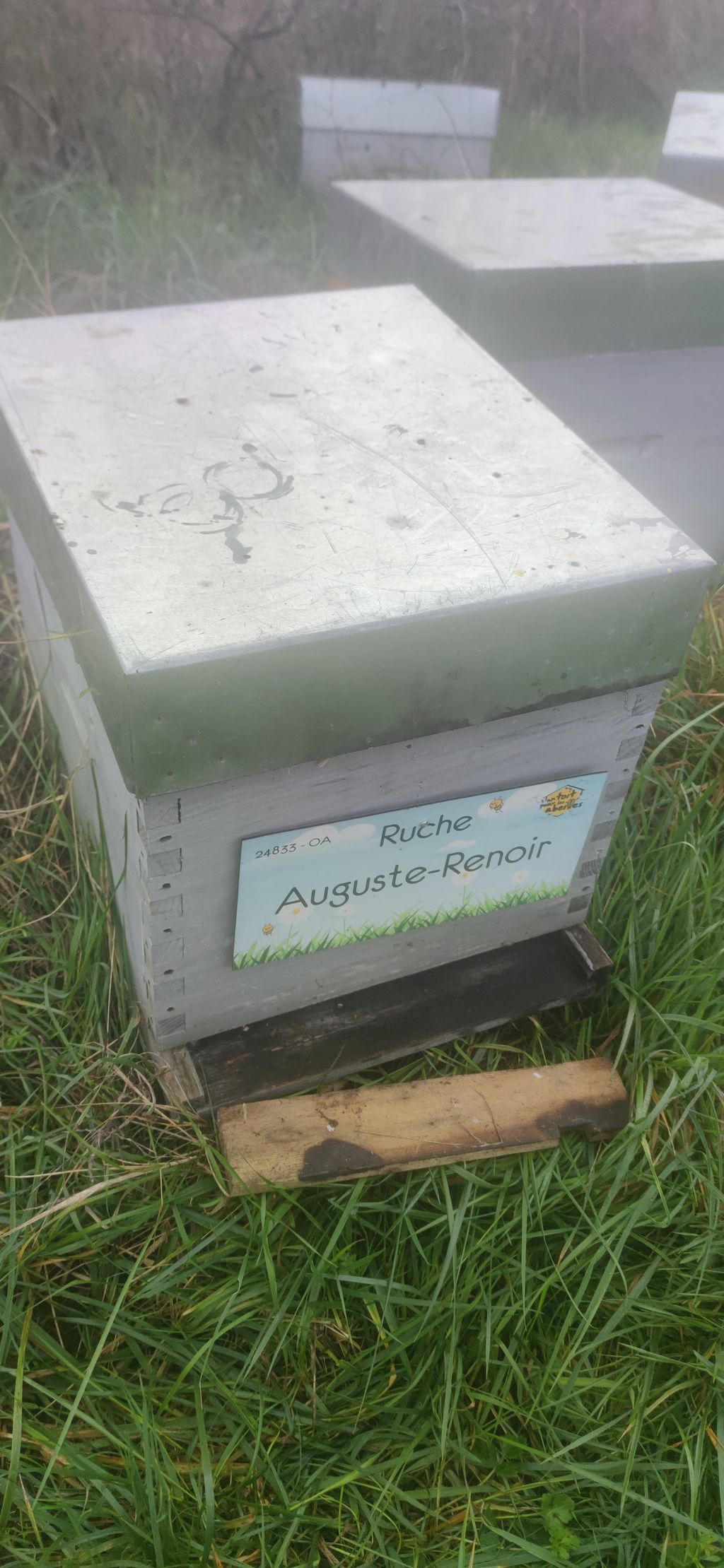 La ruche Auguste-Renoir