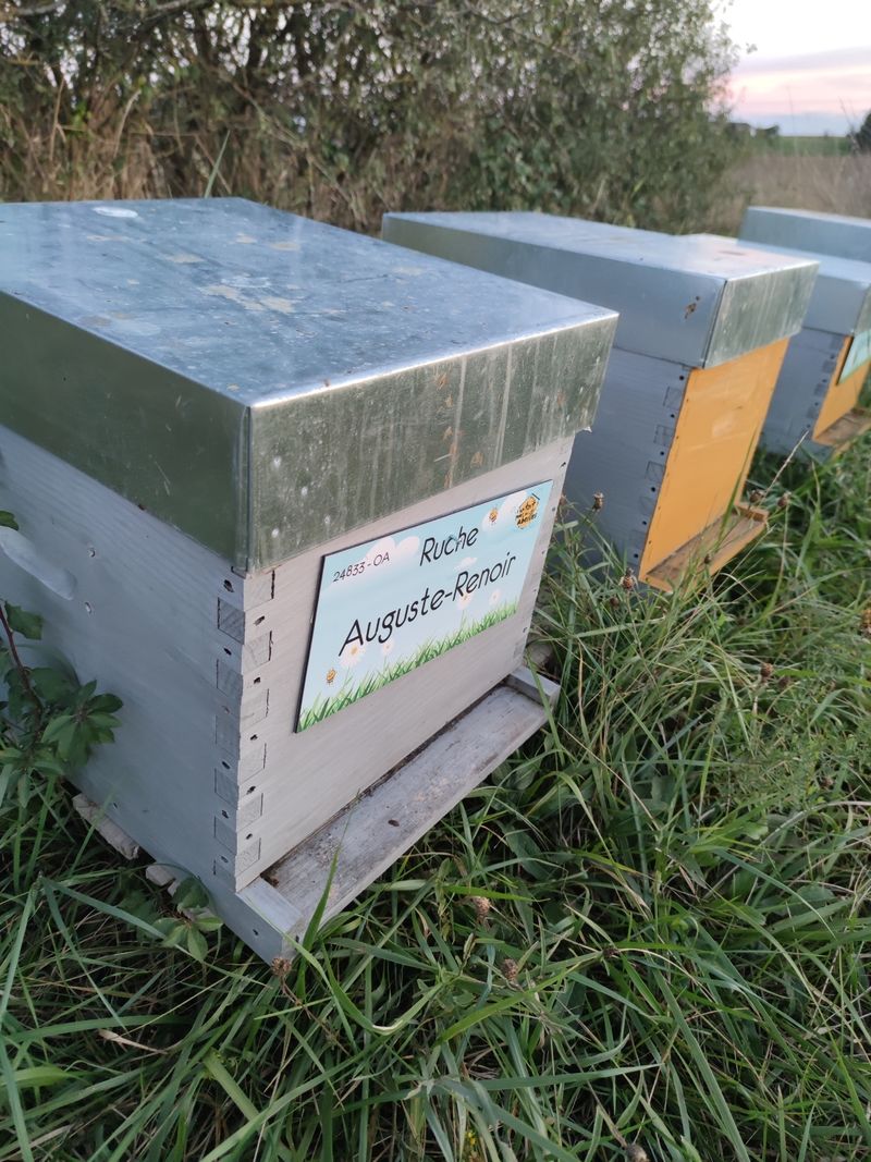 La ruche Auguste-Renoir