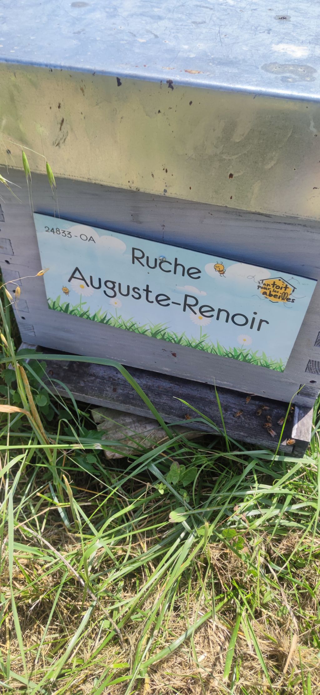 La ruche Auguste-Renoir