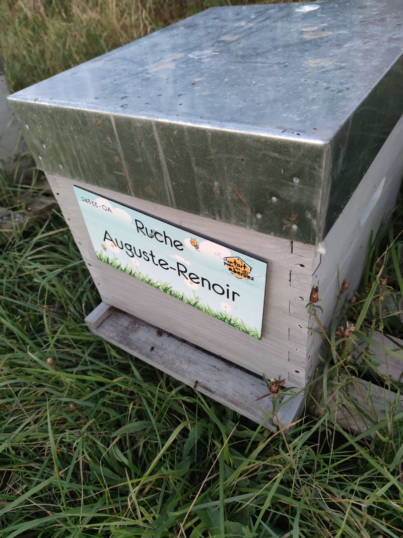 La ruche Auguste-Renoir