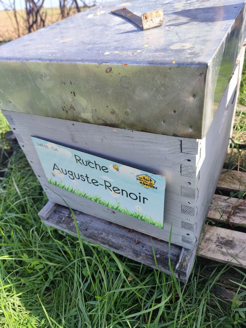 La ruche Auguste-Renoir
