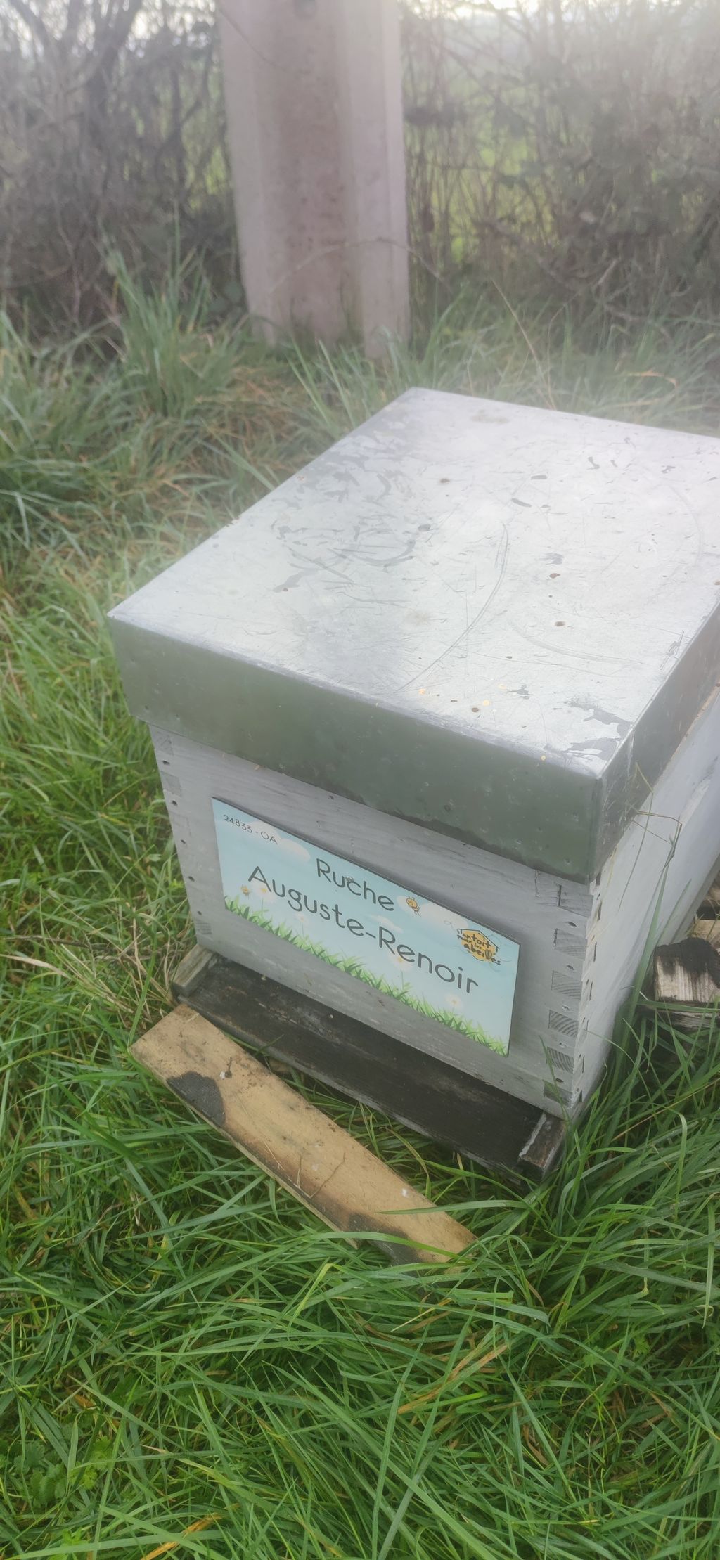 La ruche Auguste-Renoir