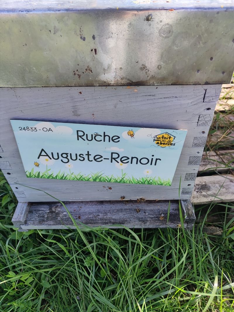 La ruche Auguste-Renoir