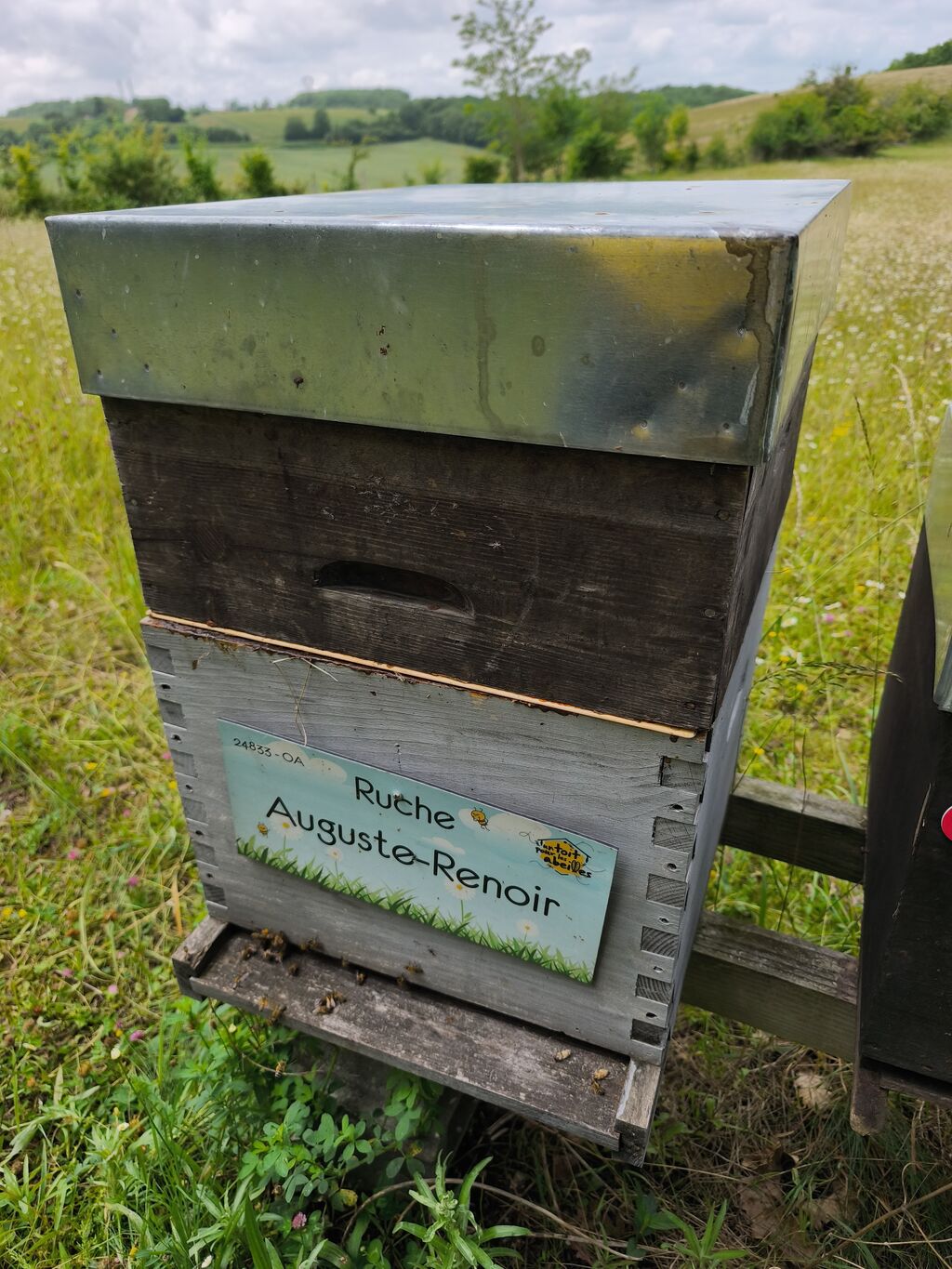 La ruche Auguste-Renoir