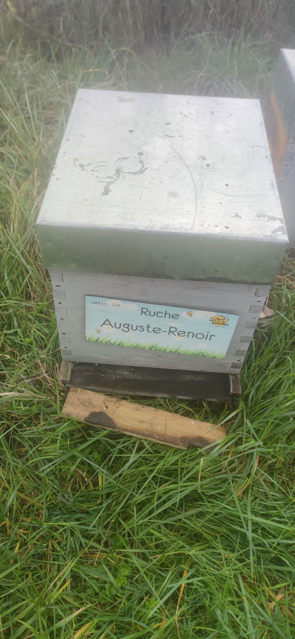 La ruche Auguste-Renoir