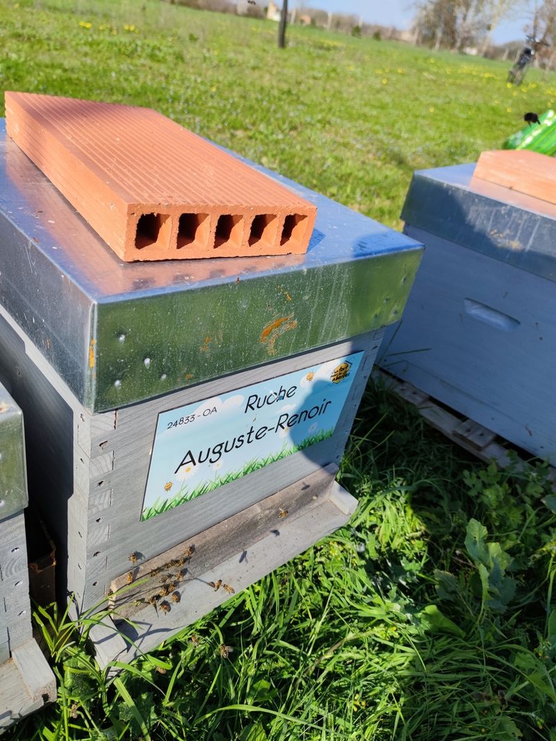 La ruche Auguste-Renoir