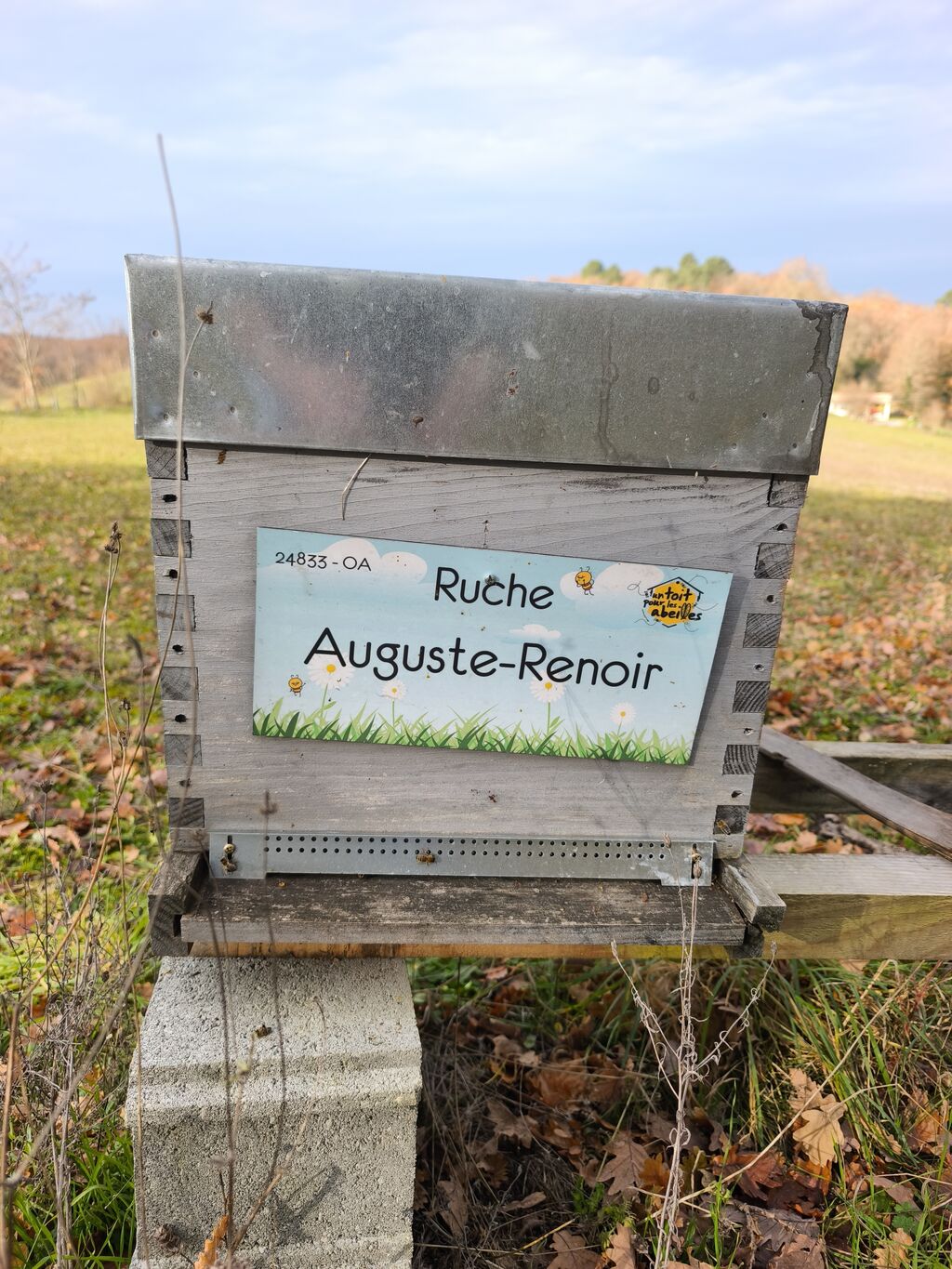 La ruche Auguste-Renoir