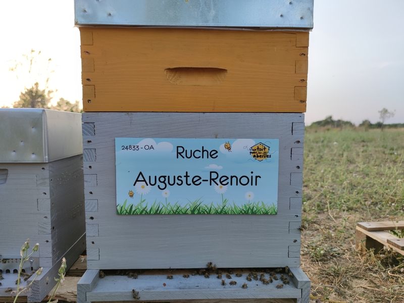 La ruche Auguste-Renoir